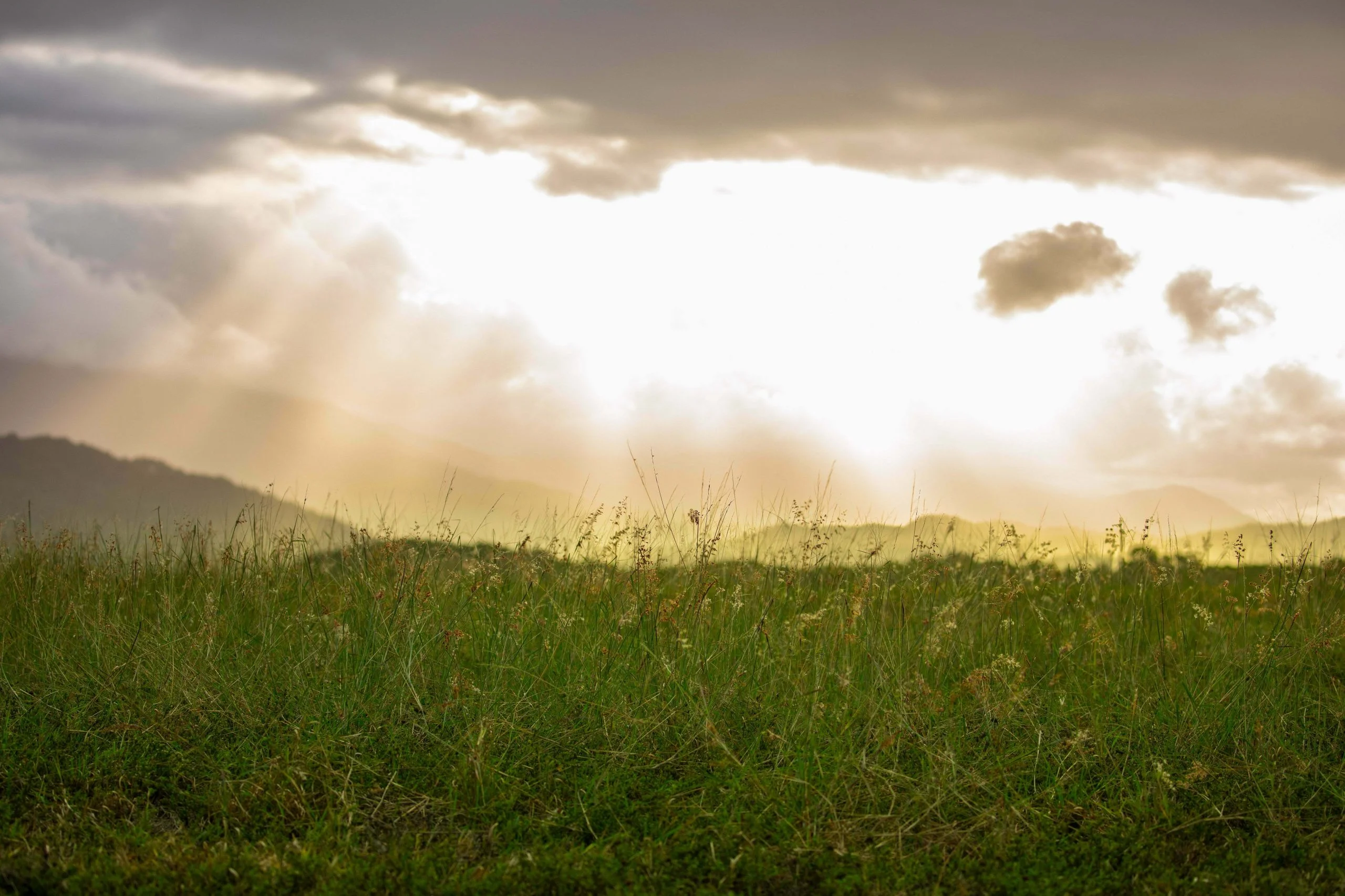 This an HDR image created in Lightroom from 5 bracketed exposures.  Notice how the sky at rear appears larger than normal, adding to the drama of the scene.  Each frame was shot hand held so I was pleased to see that even blades of grass aligned nicely when the frames were merged